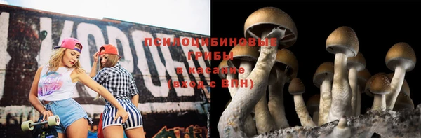 сатива Козельск