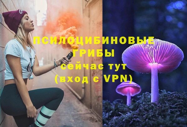 mix Козловка
