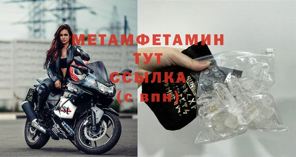 сатива Козельск