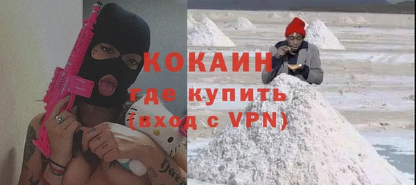 сатива Козельск