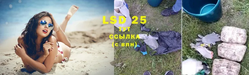 LSD-25 экстази ecstasy  продажа наркотиков  Каменск-Уральский 