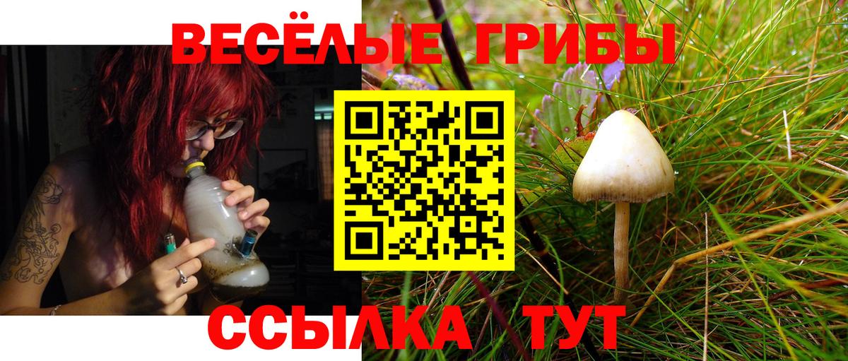 купить  цена  Псилоцибиновые грибы Psilocybine cubensis  Каменск-Уральский  Псилоцибиновые грибы Psilocybine cubensis 