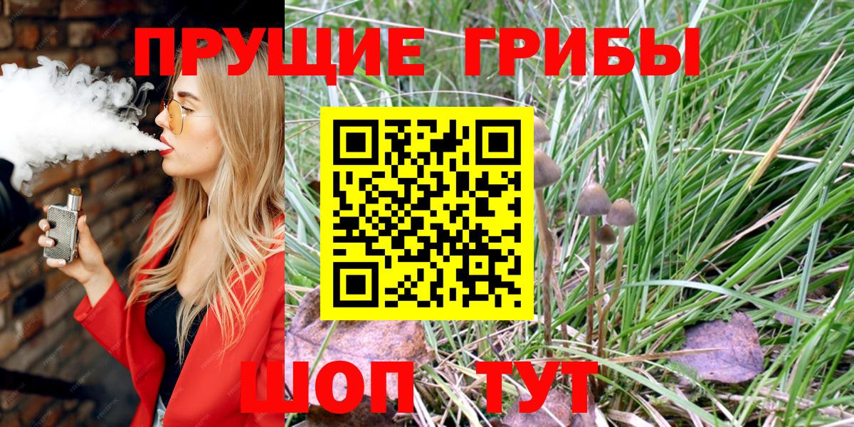 Галлюциногенные грибы Cubensis  Вход с VPN  Каменск-Уральский  где купить наркоту  Галлюциногенные грибы GOLDEN TEACHER 
