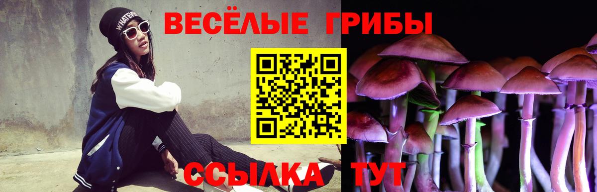 Псилоцибиновые грибы MAGIC MUSHROOMS Каменск-Уральский